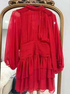 Express Red Pleated Sheer Overlay Dress